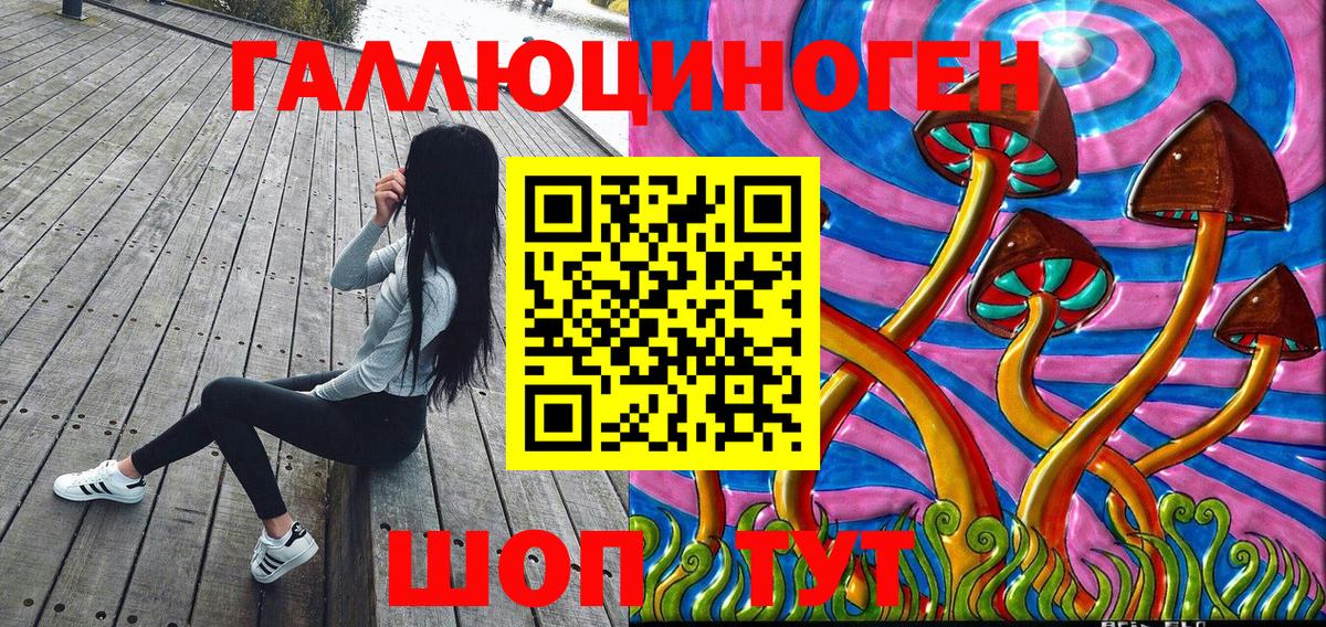 Урус-Мартан  купить закладку  Галлюциногенные грибы GOLDEN TEACHER  Вход с VPN  Псилоцибиновые грибы GOLDEN TEACHER 